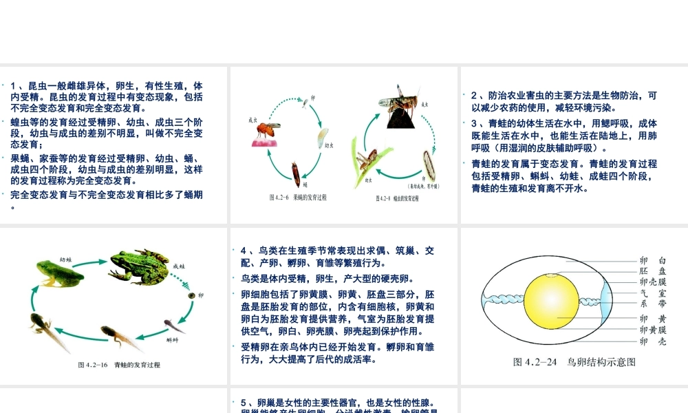 八年级生物上册 动物、人类的生殖和发育、生物的遗传和变异复习课件 （新版）济南版-（新版）济南版初中八年级上册生物课件