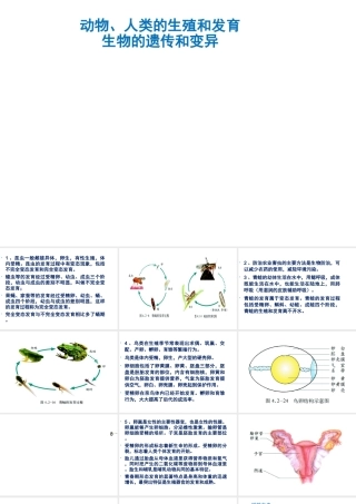 八年级生物上册 动物、人类的生殖和发育、生物的遗传和变异复习课件 （新版）济南版-（新版）济南版初中八年级上册生物课件