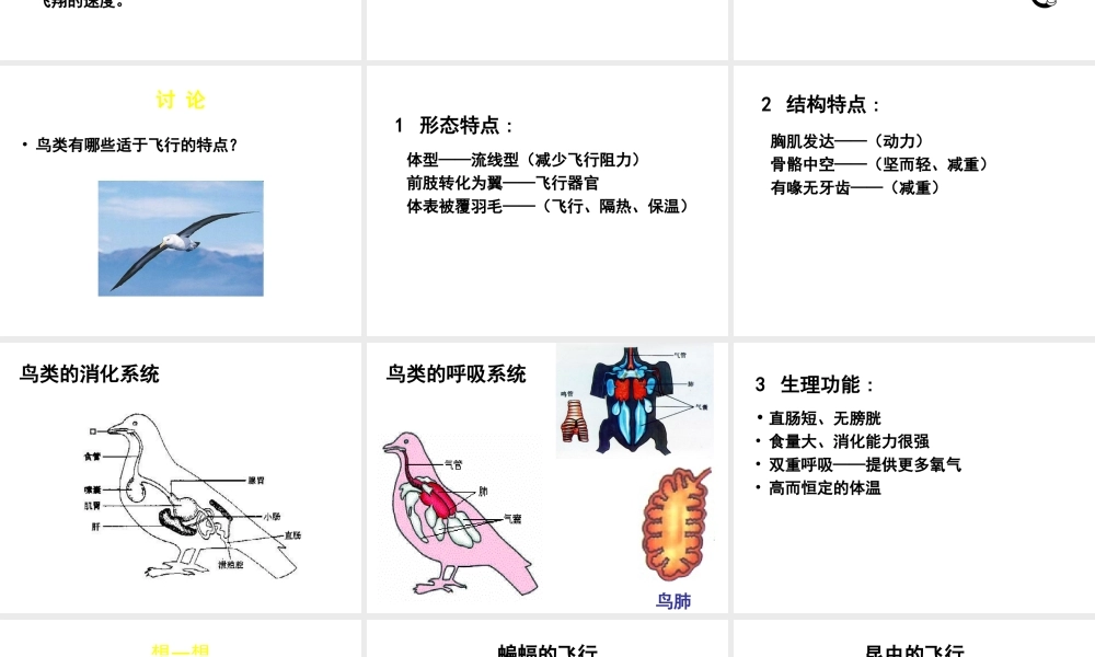八年级生物上册 第15章 第1节 动物运动的方式课件3（新版）北师大版