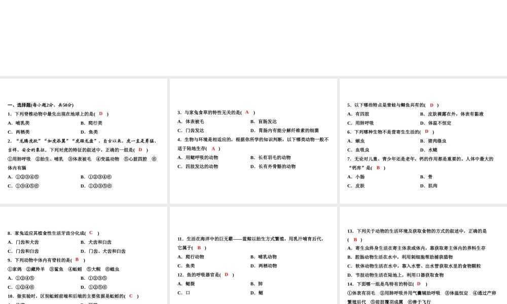 八年级生物上册 期中综合检测课件 （新版）新人教版-（新版）新人教版初中八年级上册生物课件