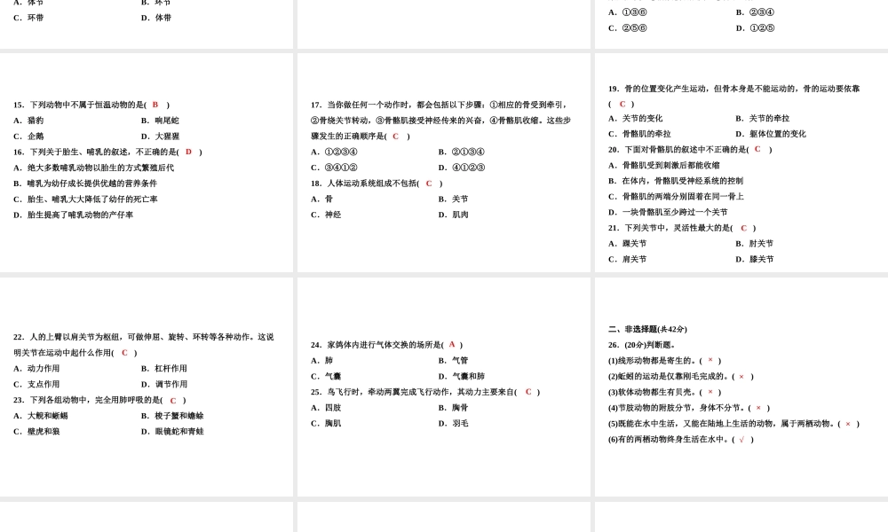八年级生物上册 期中综合检测课件 （新版）新人教版-（新版）新人教版初中八年级上册生物课件