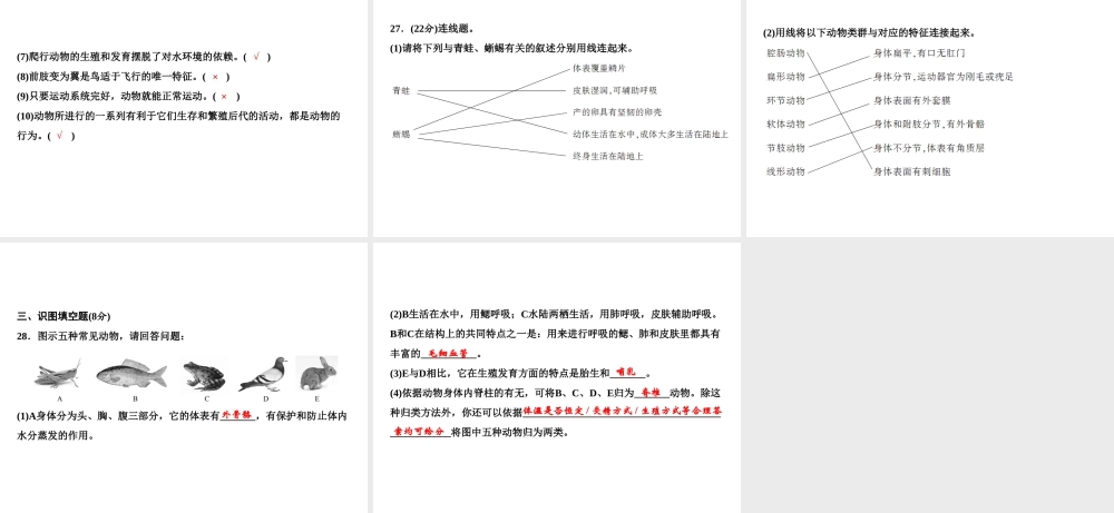八年级生物上册 期中综合检测课件 （新版）新人教版-（新版）新人教版初中八年级上册生物课件
