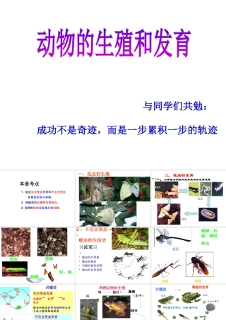 八年级生物上册 第4单元 第2章 动物的生殖和发育复习课件 （新版）济南版-（新版）济南版初中八年级上册生物课件