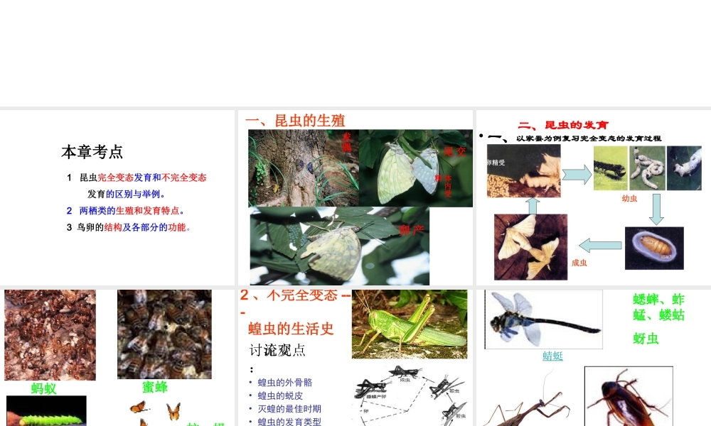 八年级生物上册 第4单元 第2章 动物的生殖和发育复习课件 （新版）济南版-（新版）济南级上册生物课件