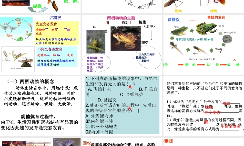 八年级生物上册 第4单元 第2章 动物的生殖和发育复习课件 （新版）济南版-（新版）济南级上册生物课件