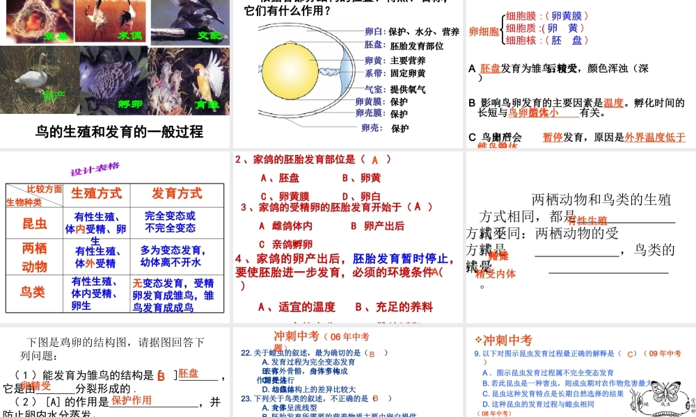 八年级生物上册 第4单元 第2章 动物的生殖和发育复习课件 （新版）济南版-（新版）济南级上册生物课件