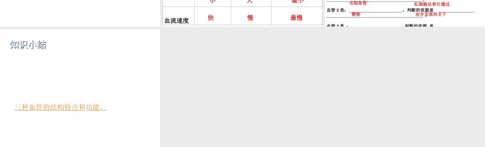 八年级生物上册 第15章 第1节人体内物质的运输课件1 （新版）苏科版-（新版）苏科级上册生物课件