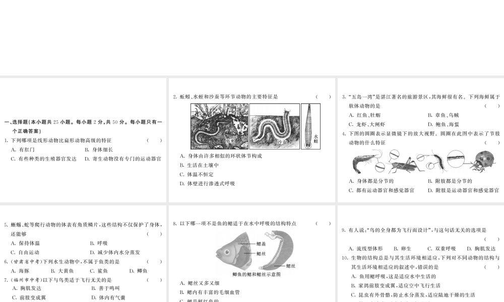 八年级生物上册 期中综合检测习题课件 （新版）新人教版-（新版）新人教版初中八年级上册生物课件