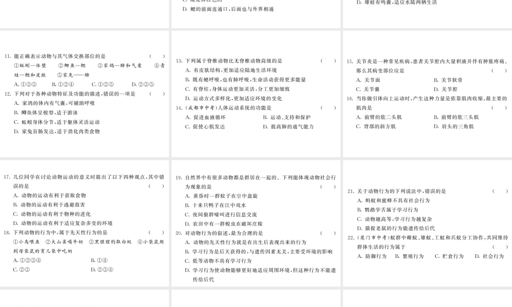 八年级生物上册 期中综合检测习题课件 （新版）新人教版-（新版）新人教版初中八年级上册生物课件