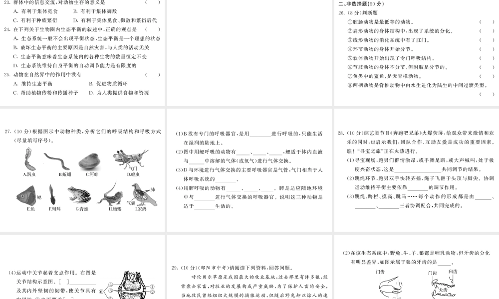 八年级生物上册 期中综合检测习题课件 （新版）新人教版-（新版）新人教版初中八年级上册生物课件