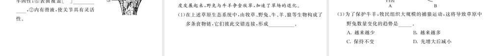 八年级生物上册 期中综合检测习题课件 （新版）新人教版-（新版）新人教版初中八年级上册生物课件