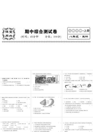 八年级生物上册 期中综合检测习题课件 （新版）新人教版-（新版）新人教版初中八年级上册生物课件