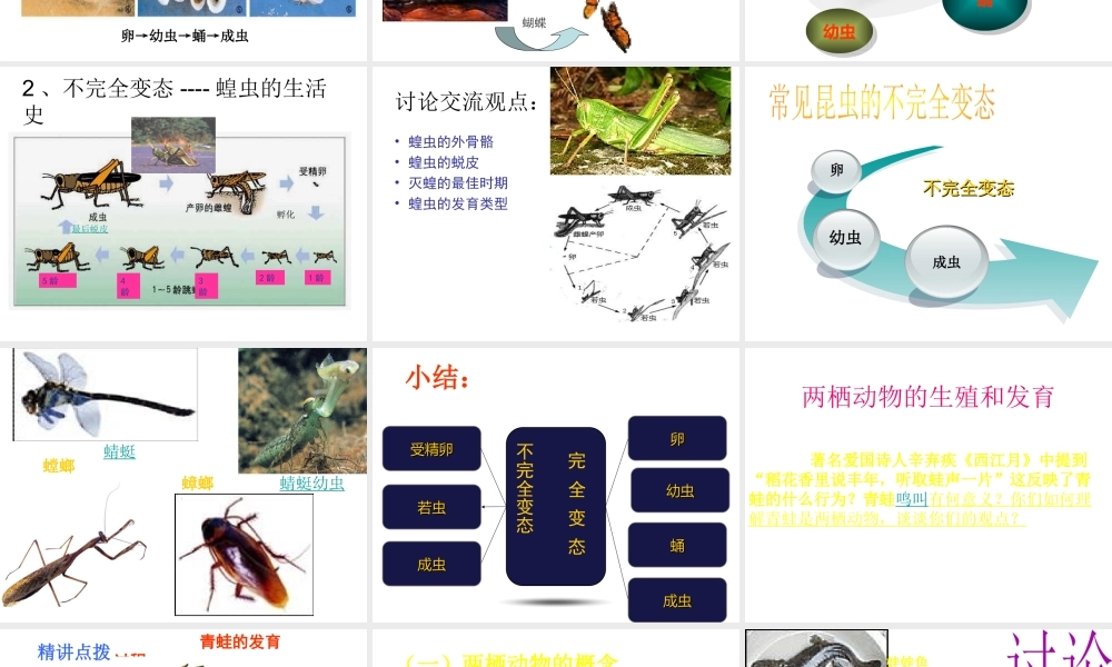 八年级生物上册 第4单元 第2章 动物的生殖和发育课件 （新版）济南版-（新版）济南版初中八年级上册生物课件