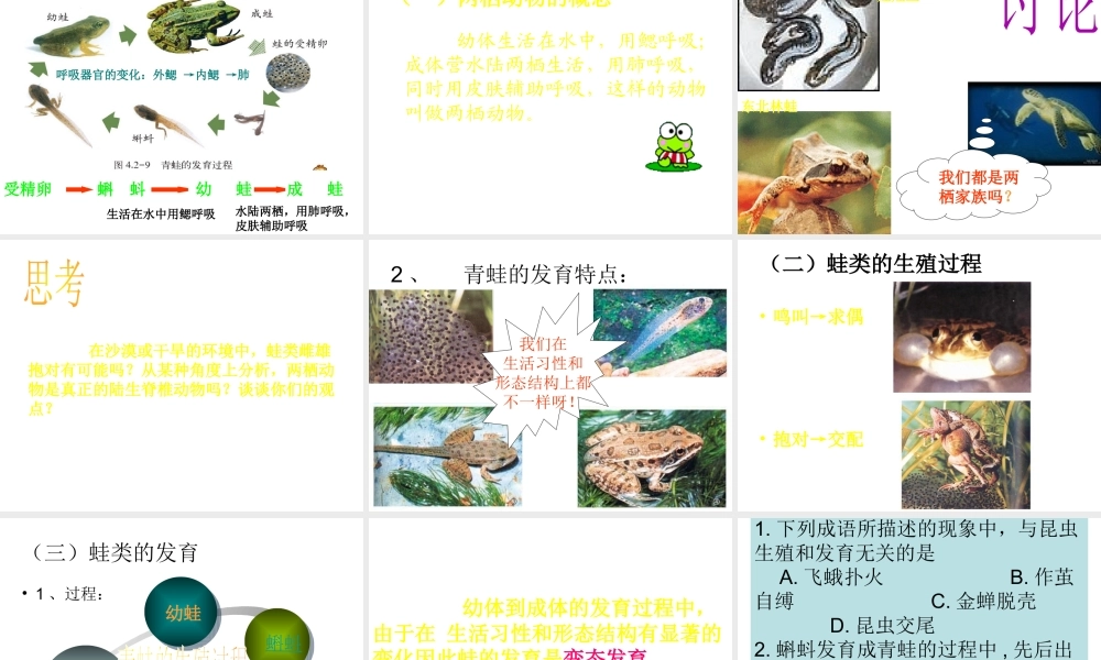 八年级生物上册 第4单元 第2章 动物的生殖和发育课件 （新版）济南版-（新版）济南版初中八年级上册生物课件