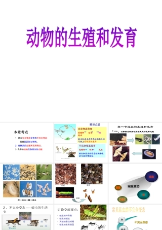 八年级生物上册 第4单元 第2章 动物的生殖和发育课件 （新版）济南版-（新版）济南版初中八年级上册生物课件