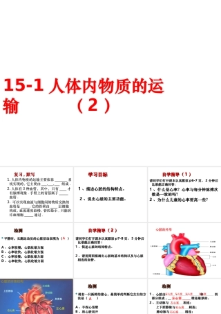 八年级生物上册 第15章 第1节人体内物质的运输课件2 （新版）苏科版-（新版）苏科版初中八年级上册生物课件