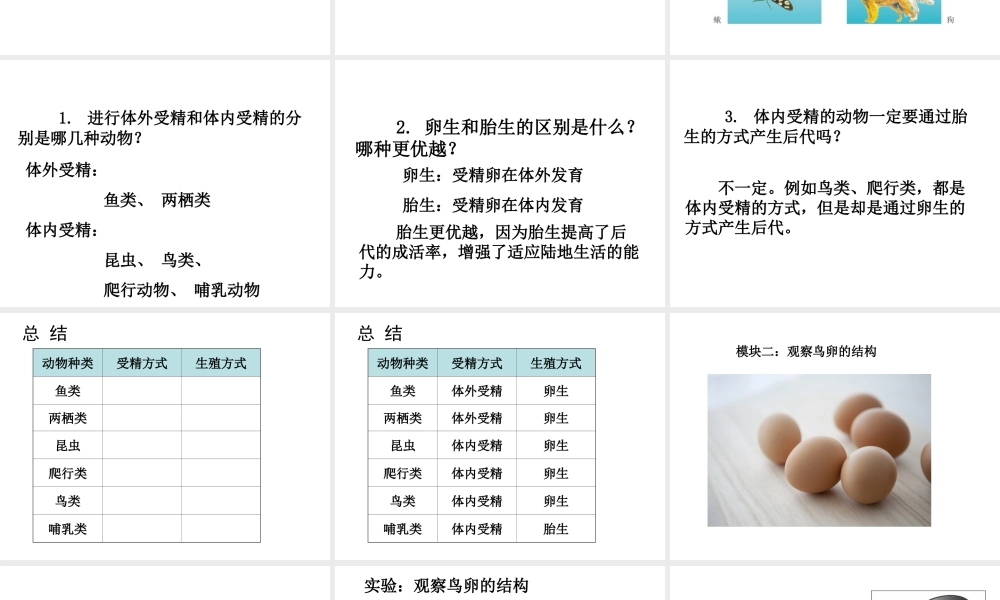 八年级生物上册 动物的生殖课件 苏科版