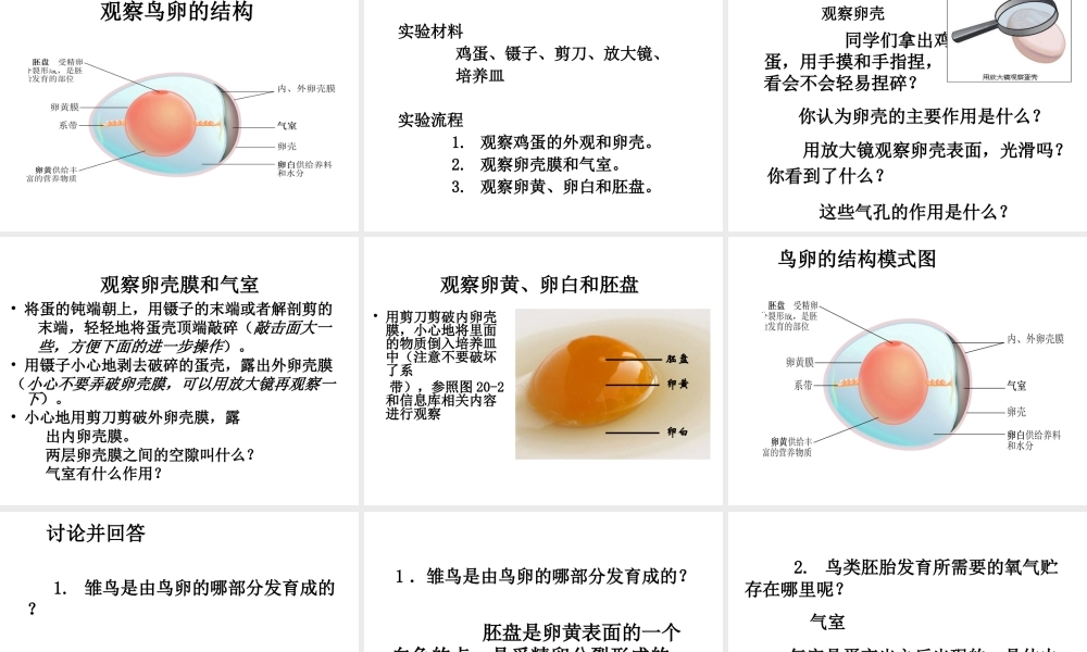 八年级生物上册 动物的生殖课件 苏科版