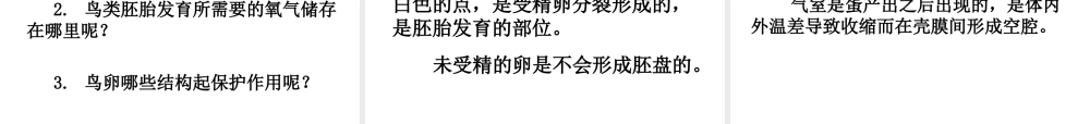 八年级生物上册 动物的生殖课件 苏科版