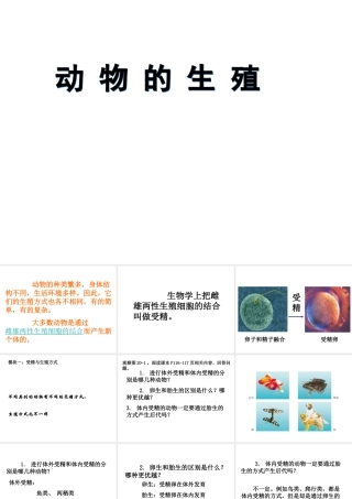 八年级生物上册 动物的生殖课件 苏科版