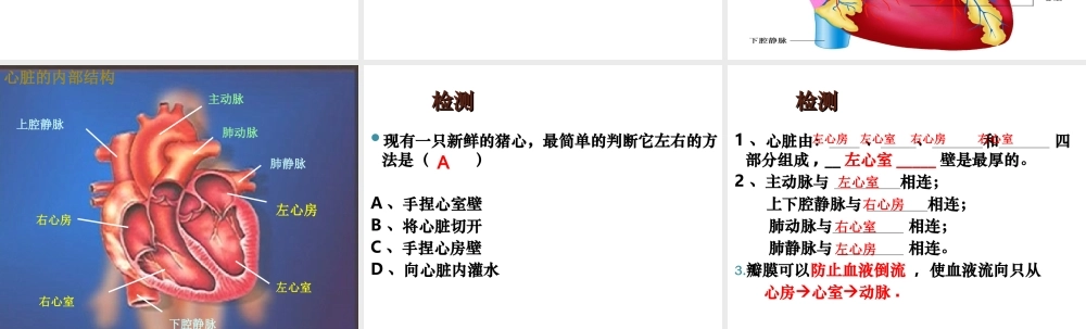 八年级生物上册 第15章 第1节人体内物质的运输课件2 （新版）苏科版-（新版）苏科级上册生物课件