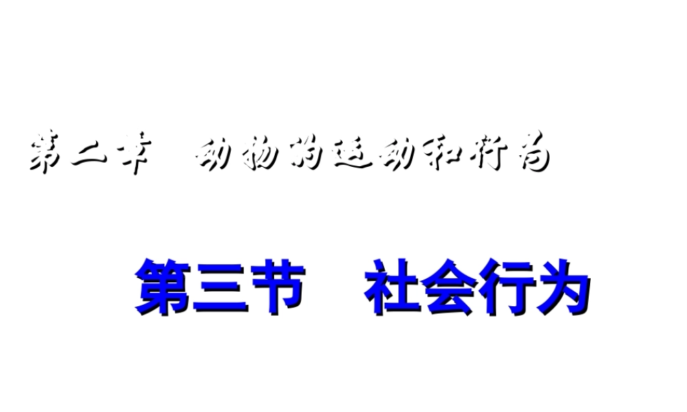 八年级生物上册 动物的运动河行为课件 人教新课标版