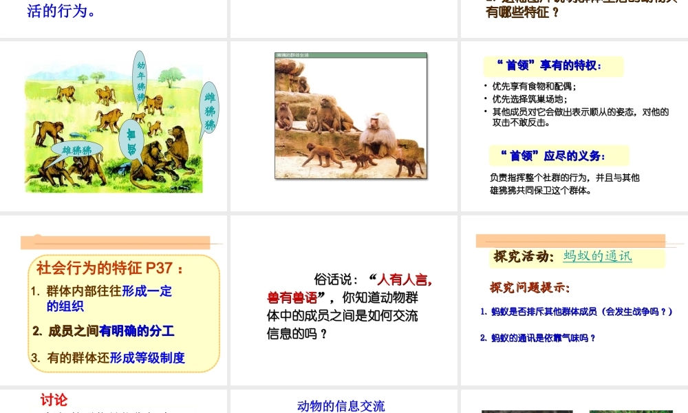 八年级生物上册 动物的运动河行为课件 人教新课标版