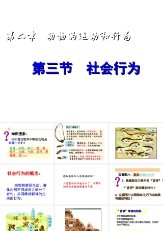 八年级生物上册 动物的运动河行为课件 人教新课标版