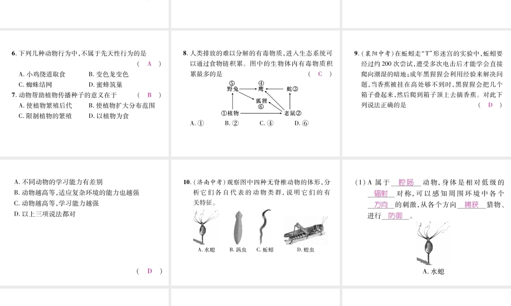 八年级生物上册 第5单元 第1、2、3章小结作业课件 （新版）新人教版-（新版）新人教版初中八年级上册生物课件