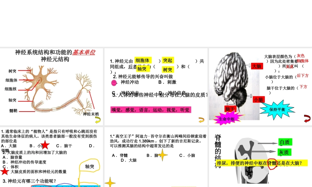 八年级生物上册 神经调节的基本方式课件 苏科版