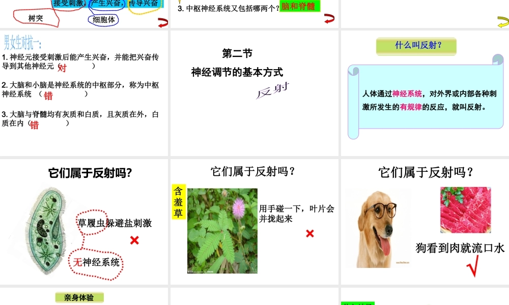 八年级生物上册 神经调节的基本方式课件 苏科版
