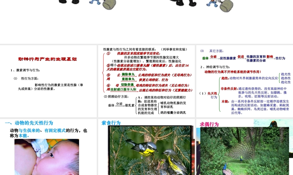 八年级生物上册 动物行为产生的生理基础课件 苏教版