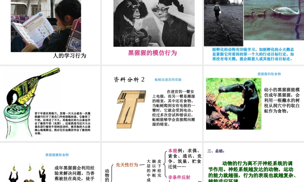 八年级生物上册 动物行为产生的生理基础课件 苏教版