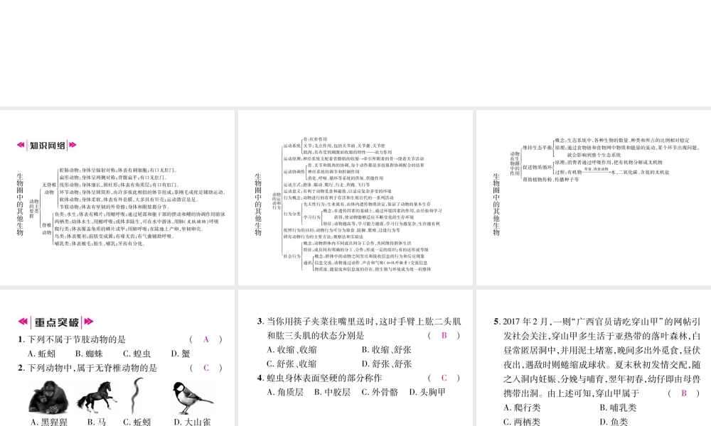 八年级生物上册 第5单元 第1、2、3章小结作业课件 （新版）新人教版-（新版）新人教级上册生物课件