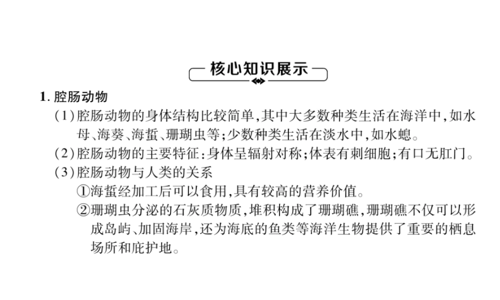 八年级生物上册 第5单元 第1章 第1节 腔肠动物和扁形动物练习课件 （新版）新人教版-（新版）新人教版初中八年级上册生物课件