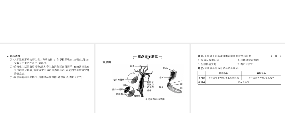 八年级生物上册 第5单元 第1章 第1节 腔肠动物和扁形动物练习课件 （新版）新人教版-（新版）新人教版初中八年级上册生物课件