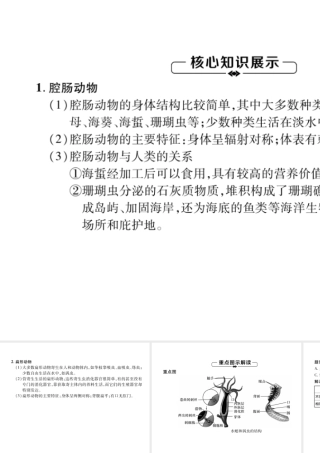 八年级生物上册 第5单元 第1章 第1节 腔肠动物和扁形动物练习课件 （新版）新人教版-（新版）新人教版初中八年级上册生物课件