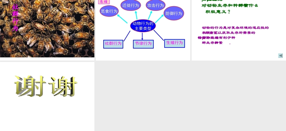 八年级生物上册 动物行为的主要类型课件 苏教版