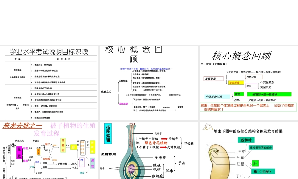 八年级生物上册 生物的生殖和发育复习课件 济南版-济南级上册生物课件