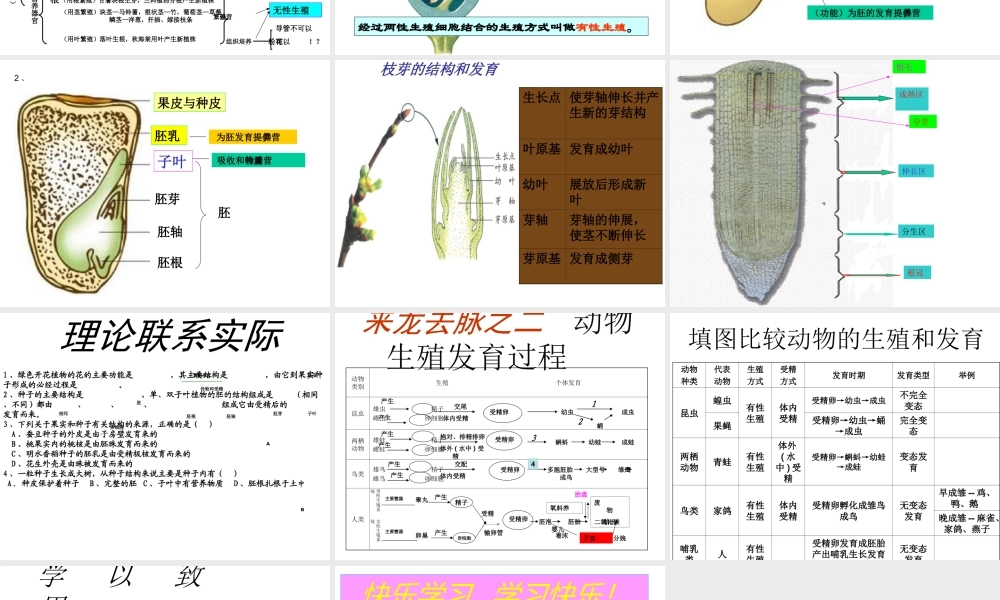 八年级生物上册 生物的生殖和发育复习课件 济南版-济南级上册生物课件