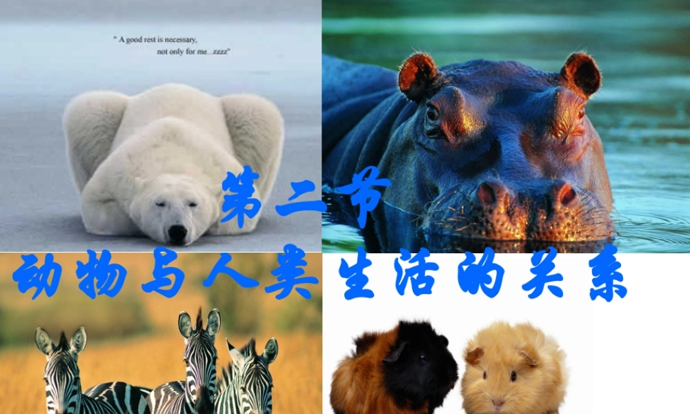 八年级生物上册 动物与人类的关系课件 人教新课标版