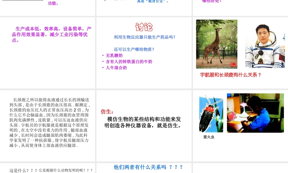 八年级生物上册 动物与人类的关系课件 人教新课标版