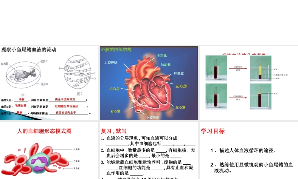 八年级生物上册 第15章 第1节人体内物质的运输课件4 （新版）苏科版-（新版）苏科级上册生物课件