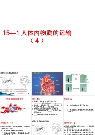 八年级生物上册 第15章 第1节人体内物质的运输课件4 （新版）苏科版-（新版）苏科级上册生物课件