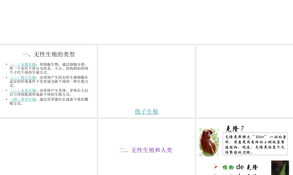 八年级生物上册 生物的无性生殖课件 苏教版