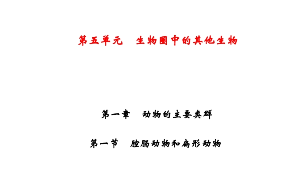 八年级生物上册 第5单元 第1章 第1节 腔肠动物和扁形动物习题课件 （新版）新人教版-（新版）新人教版初中八年级上册生物课件