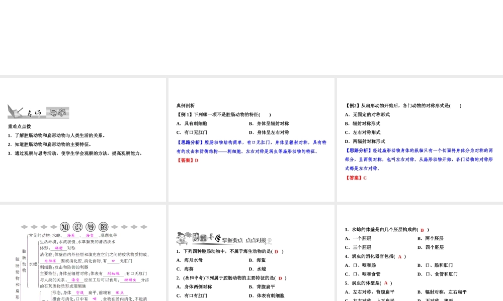 八年级生物上册 第5单元 第1章 第1节 腔肠动物和扁形动物习题课件 （新版）新人教版-（新版）新人教版初中八年级上册生物课件