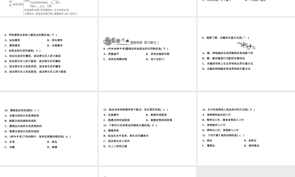 八年级生物上册 第5单元 第1章 第1节 腔肠动物和扁形动物习题课件 （新版）新人教版-（新版）新人教版初中八年级上册生物课件