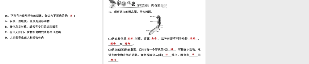 八年级生物上册 第5单元 第1章 第1节 腔肠动物和扁形动物习题课件 （新版）新人教版-（新版）新人教版初中八年级上册生物课件