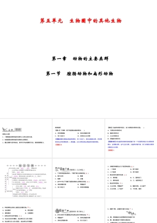 八年级生物上册 第5单元 第1章 第1节 腔肠动物和扁形动物习题课件 （新版）新人教版-（新版）新人教版初中八年级上册生物课件